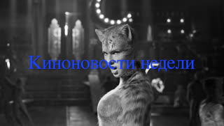 Жуткие котики и робот-Крид: киноновости недели