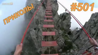 Приколы август 2019 №501