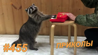 Приколы июнь 2019 №455