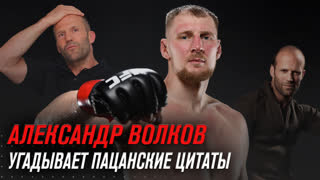 Хорошо ли Александр Волков разбирается в пацанских цитатах?